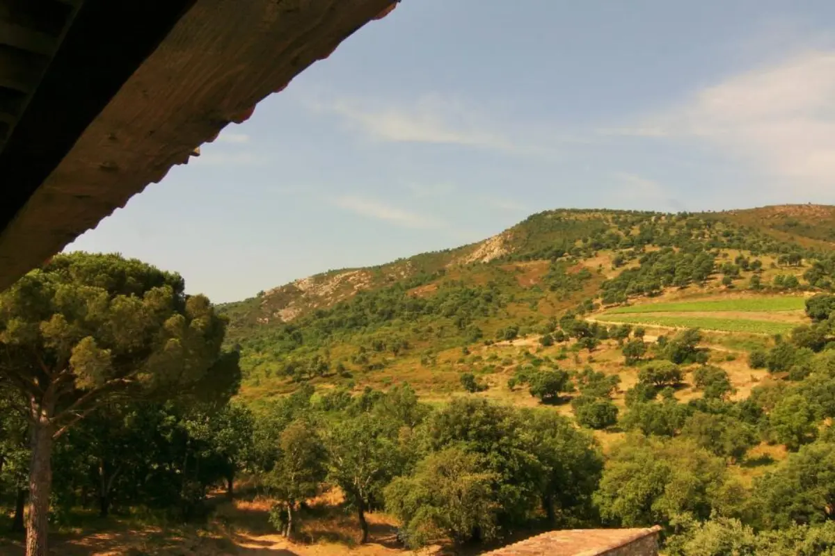 La tour plan de la tour 14