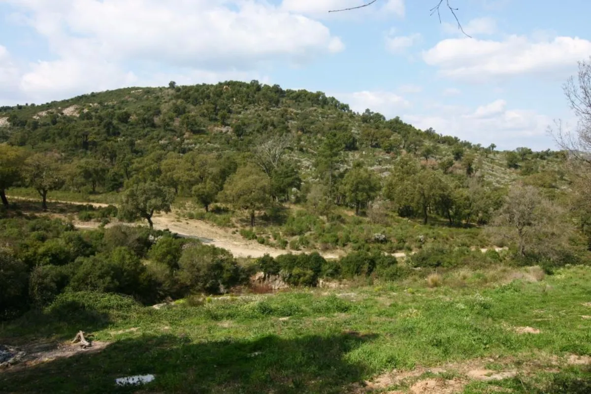 Saint martin plan de la tour 19